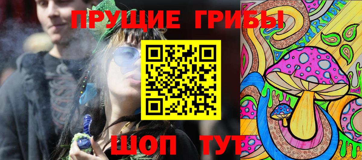Галлюциногенные грибы Cubensis Рузаевка