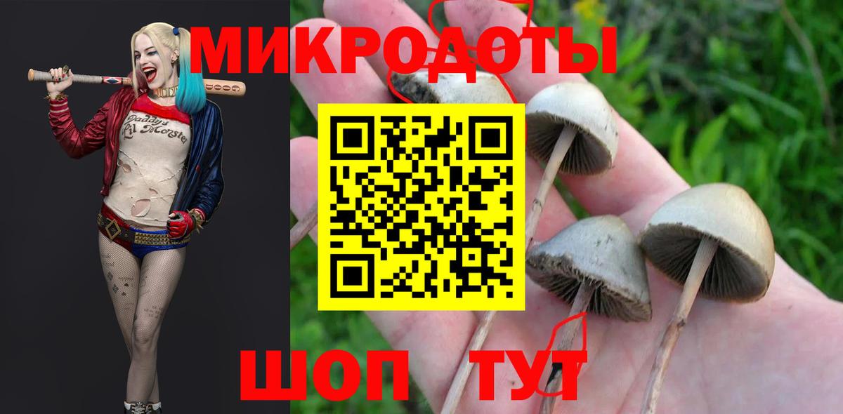 Рузаевка  Галлюциногенные грибы мицелий  Псилоцибиновые грибы GOLDEN TEACHER  сколько стоит  Вход с VPN 